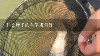 什么牌子的鱼竿质量好