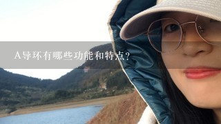 A导环有哪些功能和特点？