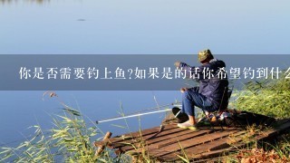 你是否需要钓上鱼如果是的话你希望钓到什么样的鱼类呢