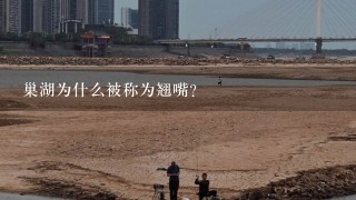 巢湖为什么被称为翘嘴