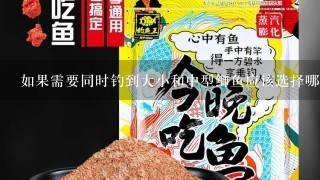 如果需要同时钓到大小和中型鲫鱼应该选择哪种类型的饵料