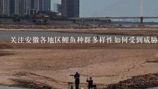 关注安徽各地区鲤鱼种群多样性如何受到威胁