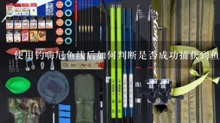 使用钓嗨尼鱼线后如何判断是否成功捕获到鱼