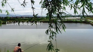 信江河水质怎么样