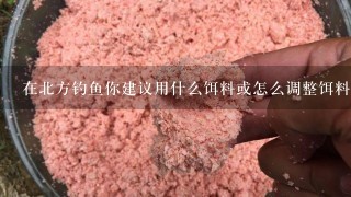 在北方钓鱼你建议用什么饵料或怎么调整饵料以吸引更多的黄尾鲴