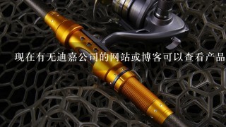 现在有无迪嘉公司的网站或博客可以查看产品吗