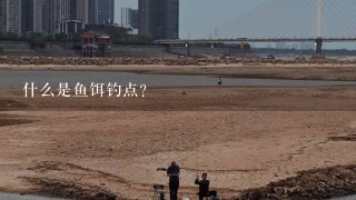 什么是鱼饵钓点