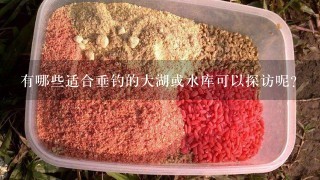 有哪些适合垂钓的大湖或水库可以探访呢