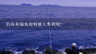 钓鱼和锚鱼如何被人类利用?