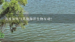 海波如何与其他海洋生物互动?