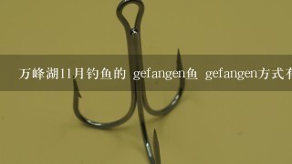 万峰湖11月钓鱼的 gefangen鱼 gefangen方式有哪些?