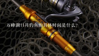 万峰湖11月钓鱼的具体时间是什么?