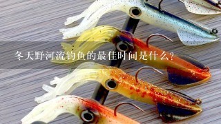 冬天野河流钓鱼的最佳时间是什么?