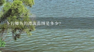 冬钓鲫鱼的漂流范围是多少?