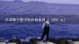 浮漂哪个牌子的价格最接近 2000 元?