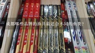 成都哪些品牌的渔具最适合不同的鱼类?