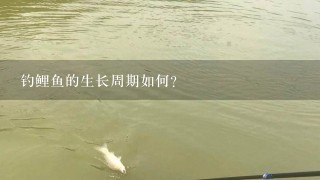 钓鲤鱼的生长周期如何?