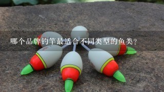 哪个品牌钓竿最适合不同类型的鱼类?