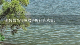 如何提高钓鱼效率的经济效益?