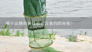 哪个品牌的鱼线最适合垂钓的材质?