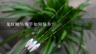 龙纹鲤5h鱼竿如何保养?